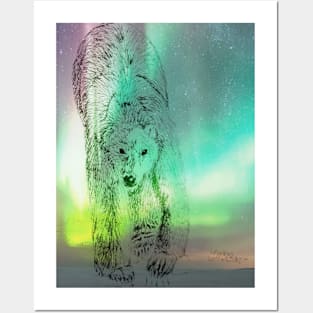 Polar bear Posters and Art